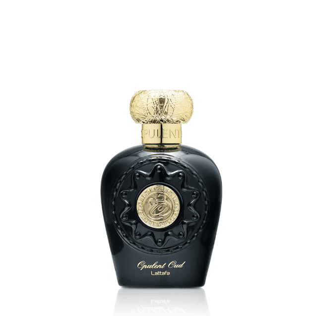 Opulent Oud 100ml - unisex, men, women luxury perfume bottle - view 1