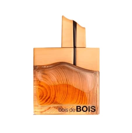 Fragrance World Bois de Bois 100ml - Muškarci parfem